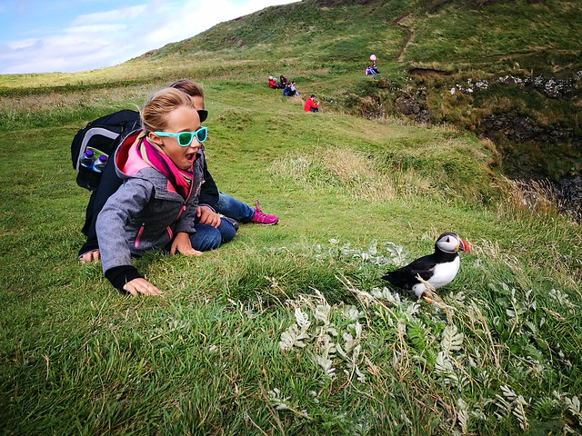 Etapa 4. Excursión a Staffa y Iona con Staffatours - 10 días de ruta por Escocia con niña de 7 años (9)