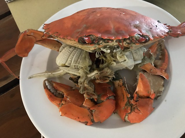 steamed crab, cold