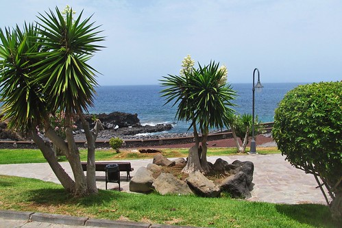 ocean square puertodesantiago tenerife canaryislands spain yucca view bench travels