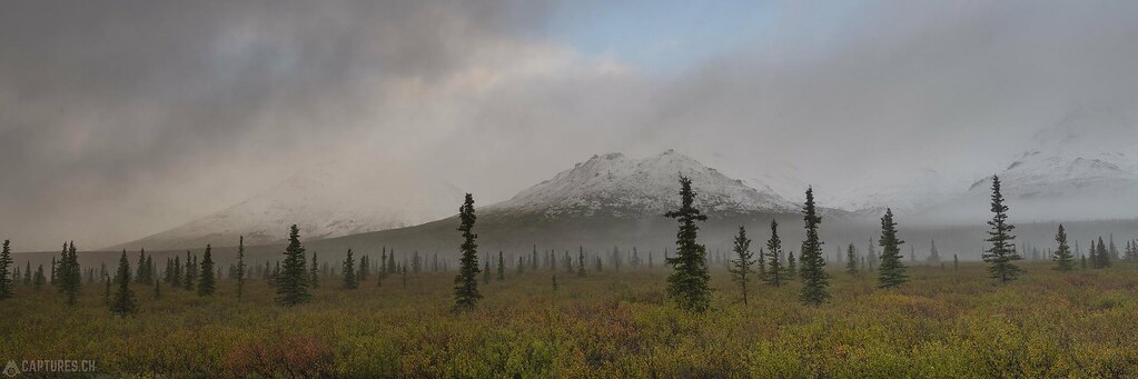 Morning fog - Alaska
