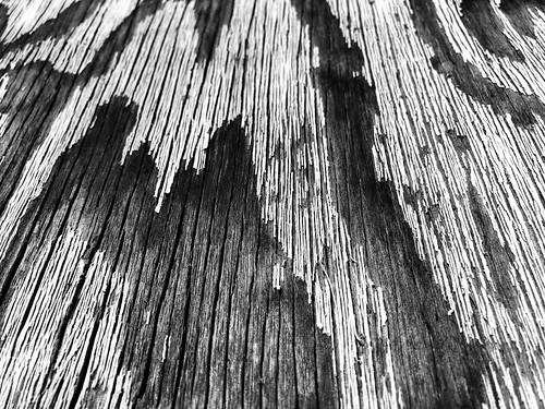 weatheredwood woodgrain s wood wooden grain weathered faded texture closeup bw monochrome noir cc0 royaltyfree