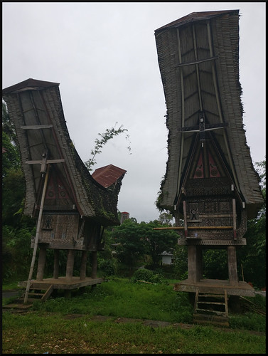 Indonesia en 2 semanas: orangutanes, templos y tradiciones - Blogs de Indonesia - Sulawesi, descubriendo las tradiciones Tana Toraja (5)