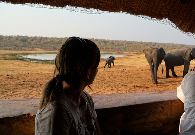 El largo viaje hacia Hwange, la puerta al reino de los elefantes - BOTSWANA, ZIMBABWE Y CATARATAS VICTORIA: Tras la Senda de los Elefantes (4)