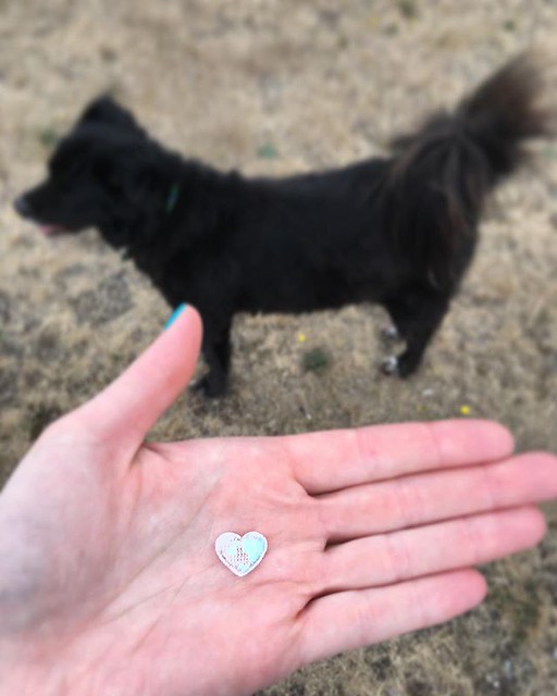 Always a magpie. I found this tiny iridescent heart at the dog park. 💖✨✨✨