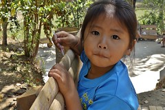 INDONESIEN, SULAWESI, Tanah Toraja, little girl in Lemo, 17615/10624