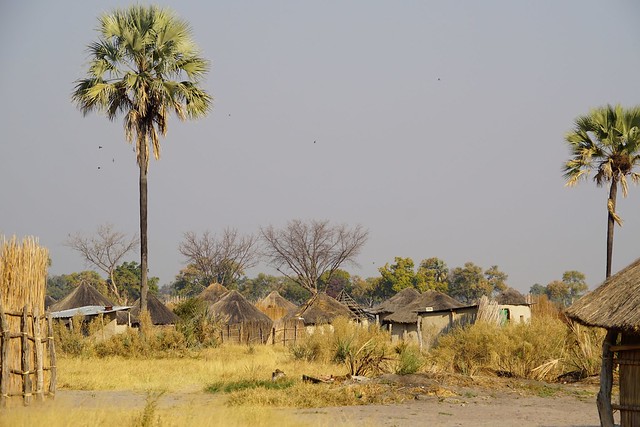 Delta del Okavango: safari a pie y paseos en mokoro, emoción y relax en Botswana - BOTSWANA, ZIMBABWE Y CATARATAS VICTORIA: Tras la Senda de los Elefantes (19)