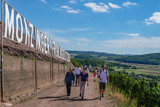 Wandergruppe in Weinbergen bei Monzingen