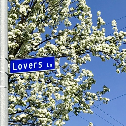 Does it get any better than that...favorite Kzoo street name!  Artist Bridget Fox