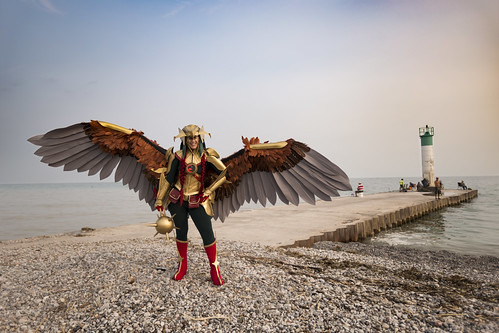 hawk girl beach bird lake cosplay lighthouse pier costume infinite crisis hawkgirl