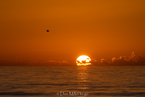 water sun atlanticocean sunrise sol ocean