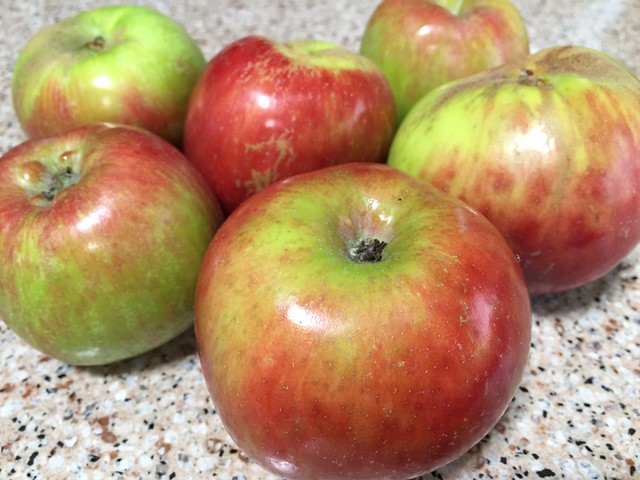 Gravenstein apples