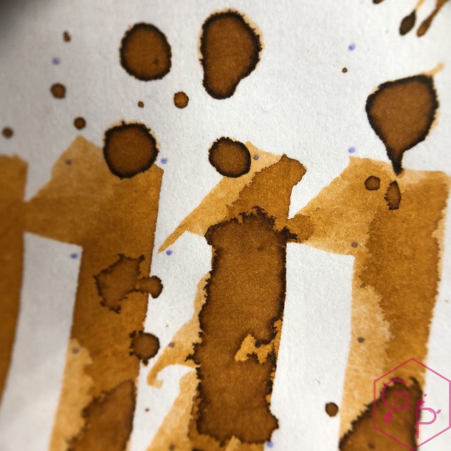 Robert Oster Campfire Ink Review for Phidon Pens 10th Anniversary 18