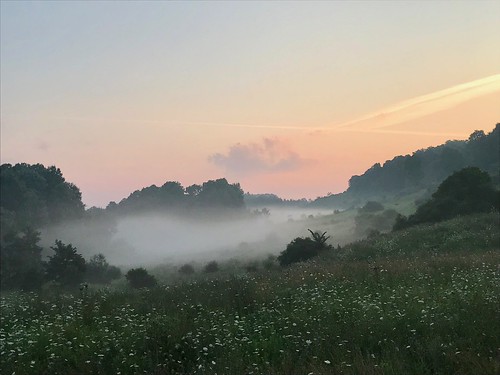 fog trail morning dusk panhandle top252018