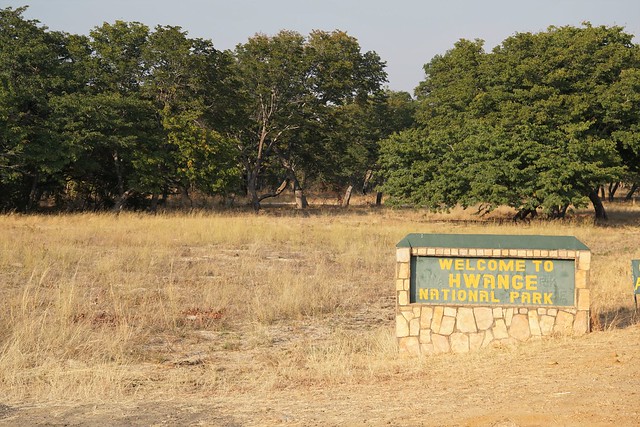 Hwange National Park, territorio salvaje - BOTSWANA, ZIMBABWE Y CATARATAS VICTORIA: Tras la Senda de los Elefantes (4)