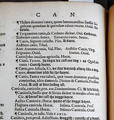 Thesaurus Linguae Q1v detail 2 (Canis)