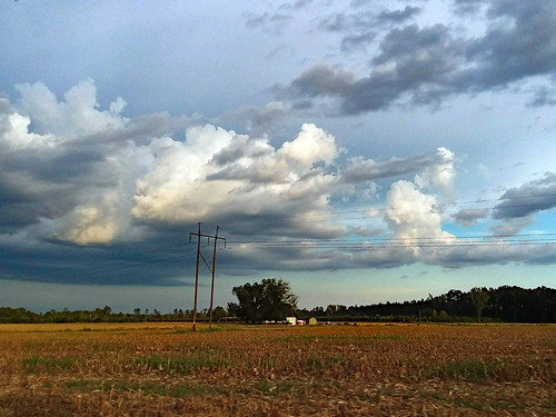 fairmont nc northcarolina robesoncounty outdoor outdoors outside nature natural hwy41 nc41 sky cloudy clouds overcast cloudformation stormclouds powerpole utilitypole electricpole powerlines powerwires electriclines electricwires utilitylines utilitywires tree trees greenery foliage field cornfield buildings landscape samsung galaxy smj727v j7v cellphone cellphonepicture