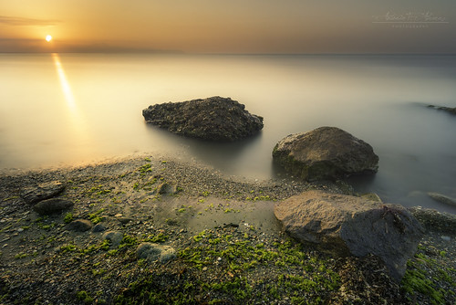 beach sunrise sun dawn landscape seascape sea seaweed rocks water filter playa amanecer sol paisaje mar algas rocas agua filtro nikond750 tamron 1530 15mm almeria españa spain sp