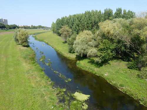 magyarország hungary szolnok alföld vízpart water folyó river tájkép landscape természet nature