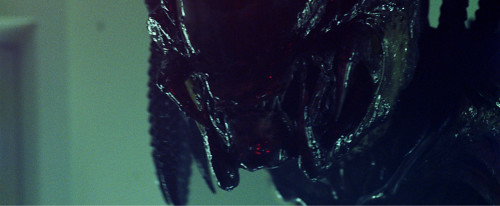 Aliens vs. Predator - Requiem - screenshot 1