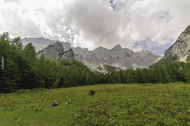 Logarska Dolina, la carretera panorámica de Solčava, Matkov kot y Robanov kot, Naturaleza-Eslovenia (8)
