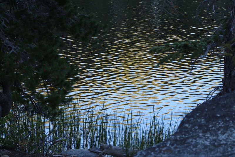 Evening reflections on the wavelets on Rubicon Lake