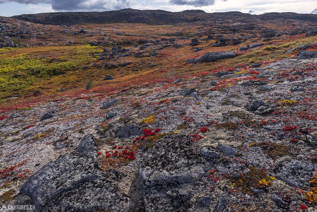 Colorful terrain - Alaska