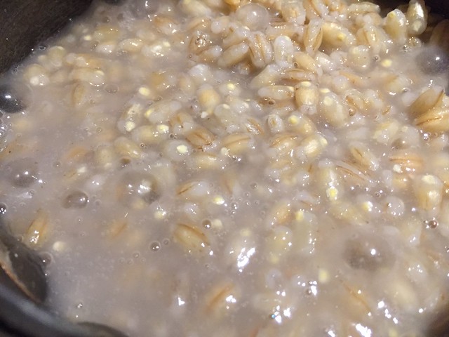 Fermented barley porridge