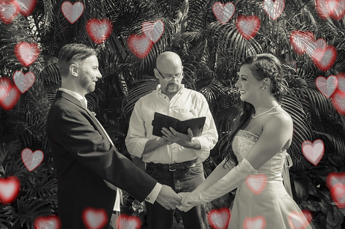 http://www.notleyhawkins.com/, Notley Hawkins Photography, wedding photography, vows, couple, bliss, Jewel Box, Forest Park, hearts, love, black and white, monochrome, 2018, Augus,t St. Louis St. Louis Missouri, folk, people, shaboom2018 class=