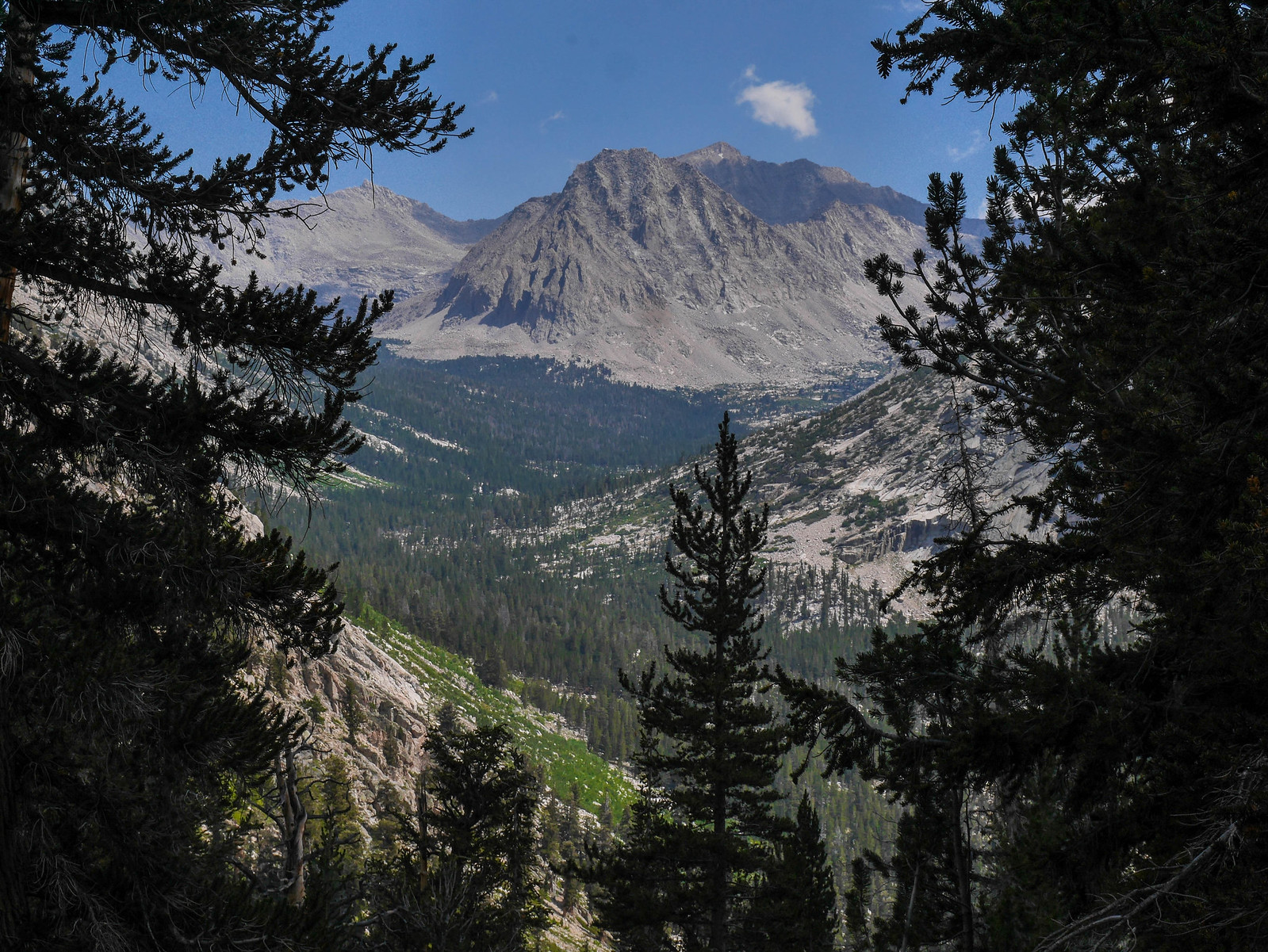 Center Peak with Center Basin on the left and the Forester/Vidette Canyon right and center