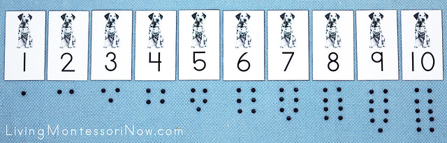 Dalmatian Cards and Counters Layout