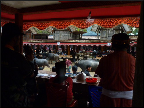 Sulawesi, descubriendo las tradiciones Tana Toraja - Indonesia en 2 semanas: orangutanes, templos y tradiciones (31)