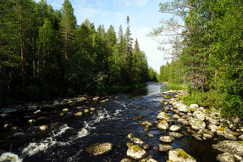 finnland river water trees rocks kitkajoki