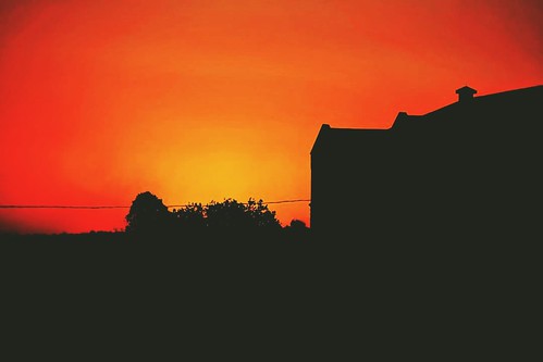 johannesburg killarney sundown sunset southafrica fujinonxf50140mmwrois fujifimxt2 silhouette gauteng