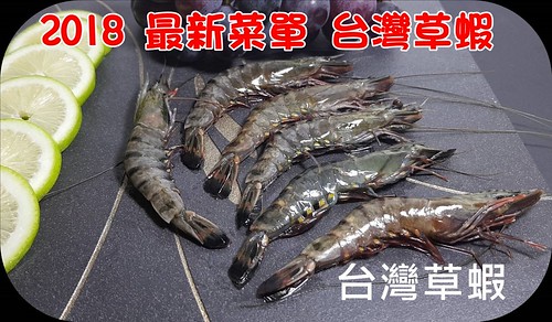 台灣草蝦