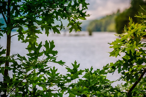 northcarolina lake lakeglenville franklin cashiers sapphire water mountains travel trees green grass clouds summer june fun family vacation beautiful beauty exploring swim