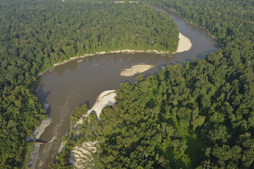 pearlriver onwingsofcare billyduggar dam sills siltingin sedimentation shoaling