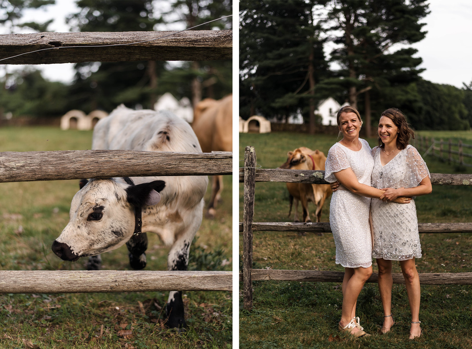 Appleton-farms-wedding