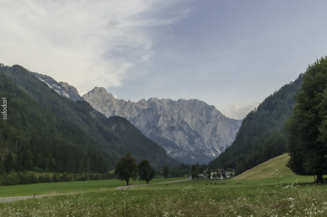 Logarska Dolina, la carretera panorámica de Solčava, Matkov kot y Robanov kot, Naturaleza-Eslovenia (4)