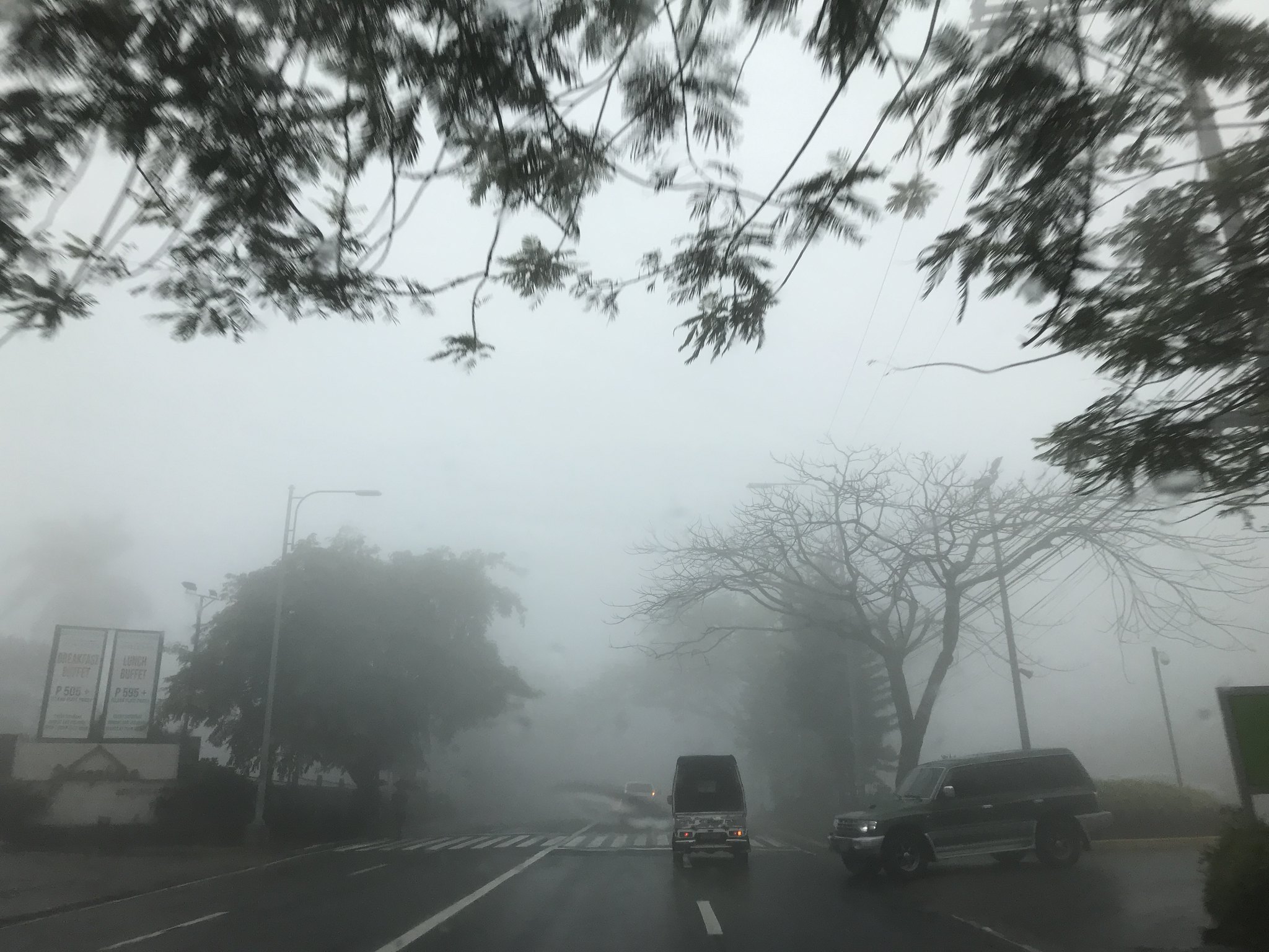 rainy and foggy in Tagaytay,  farm 049
