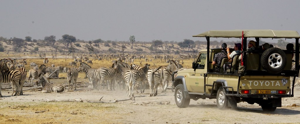 Safari en Makgadikgadi Pans National Park: este año se llevan las rayas - BOTSWANA, ZIMBABWE Y CATARATAS VICTORIA: Tras la Senda de los Elefantes (21)