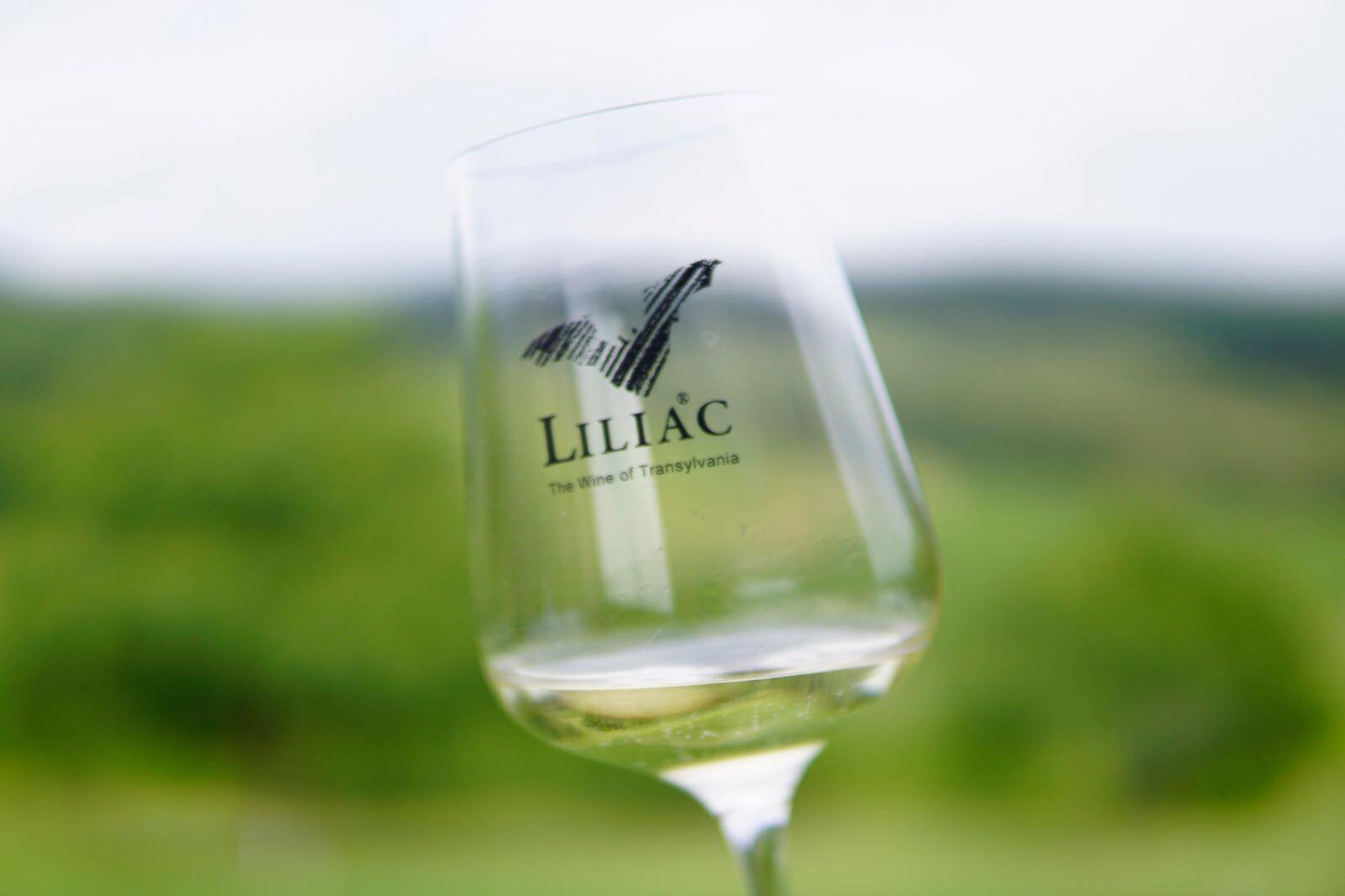 Degustare de vin: Liliac, vinul din inima Transilvaniei 