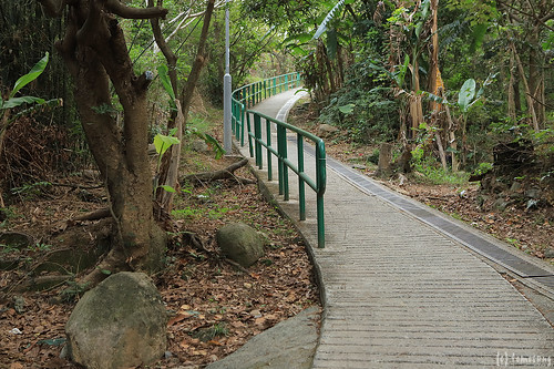 Yuen Tsuen Ancient Trail