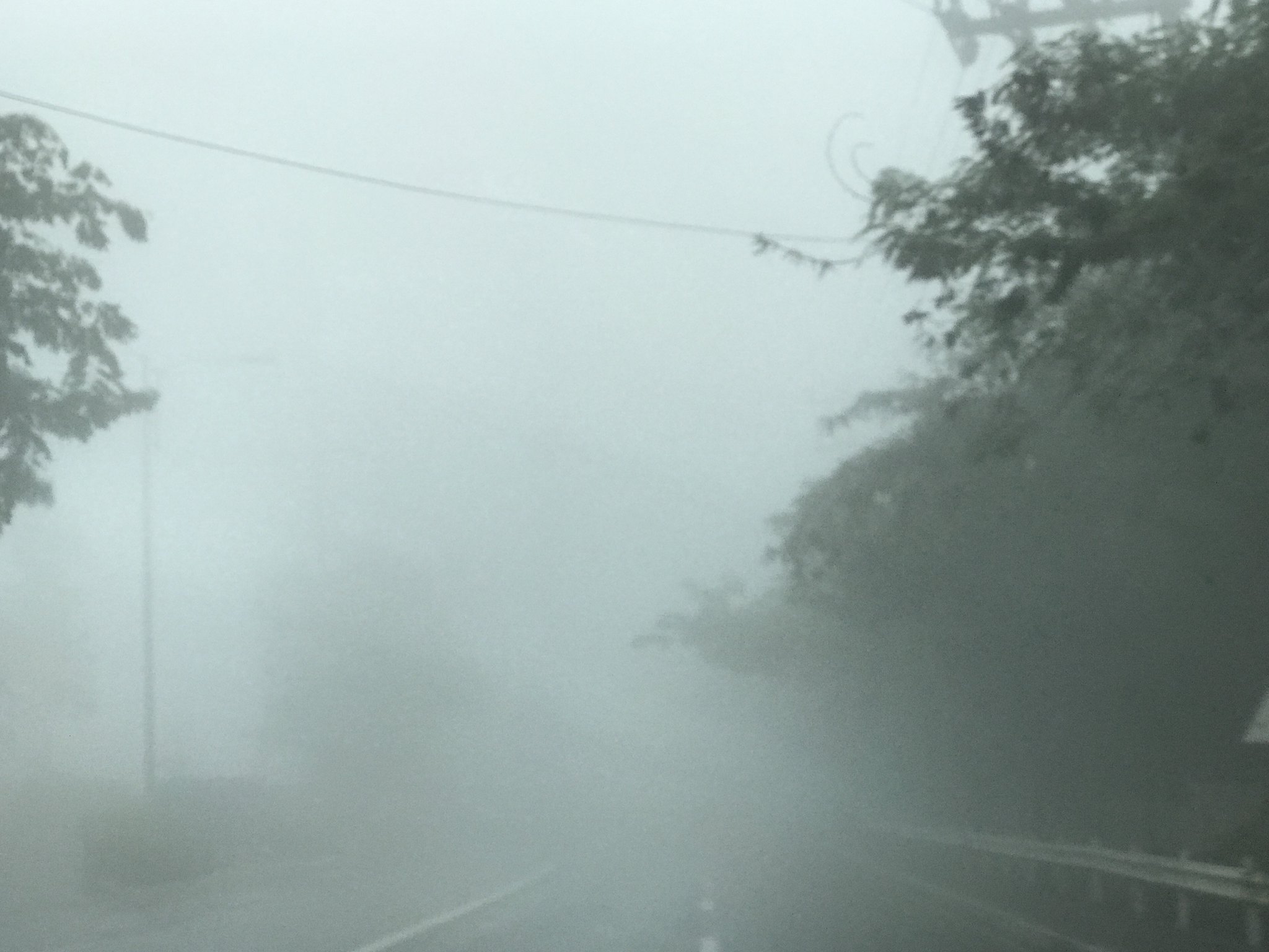 Tagaytay fog,  farm 055