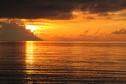 bahamas freeport grandbahamaisland sunrise nature colorful orange yellow