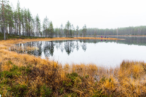 finland lakeland aamu autumn calm heijastus järvi lake luonto maisema mirror morning nature outdoor reflection scenery syksy tyyni