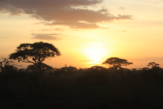 Dia 2: Comienza la aventura: primer contacto con Amboseli (10/02/2018) - Hakuna Matata: Memorias de Africa - En construccion! (33)
