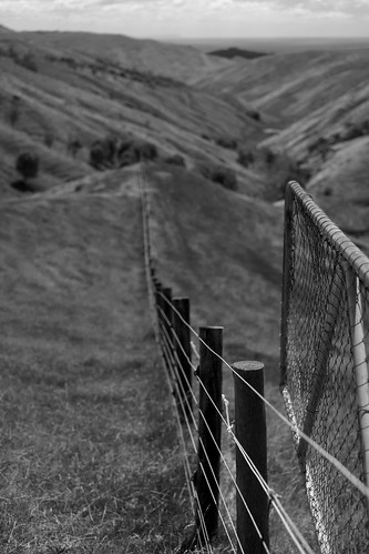 landscape ilce7m2 sony 2018 monochrome wairarapa castlepoint blackandwhite rural farm leadinglines fence gate pastoral