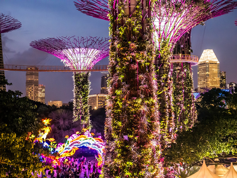 Gardens by the Bay, Singapure