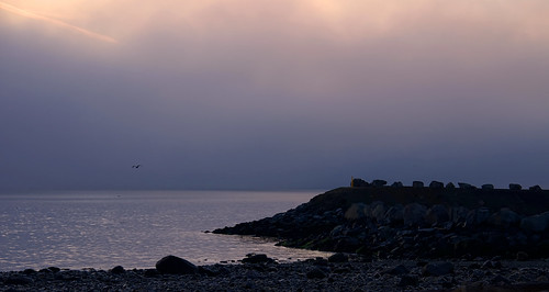 sunrise sky clouds fog sea rocks seagull nikon d3400 tamron18400 affinity foggdukkers campbellriver beach bird
