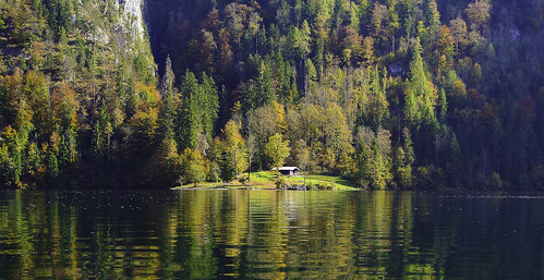 herbst autumn königssee wald forest see lake bäume trees herbstfarben colorsofautumn wasser water spiegelungen reflections natur nature outside nikon1v1 kati katharina 2018